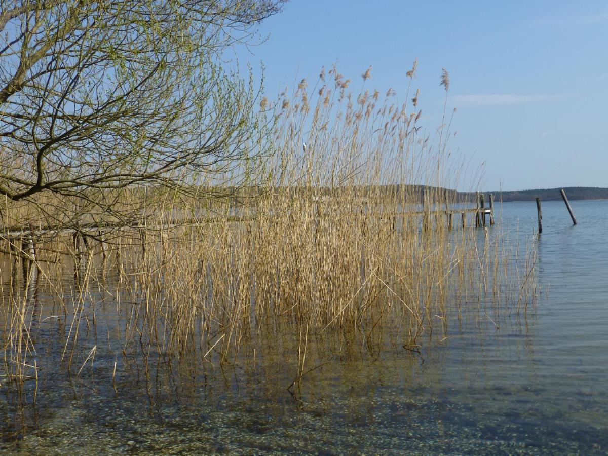 Altes Fischerhaus Villa Plau am See Exteriör bild